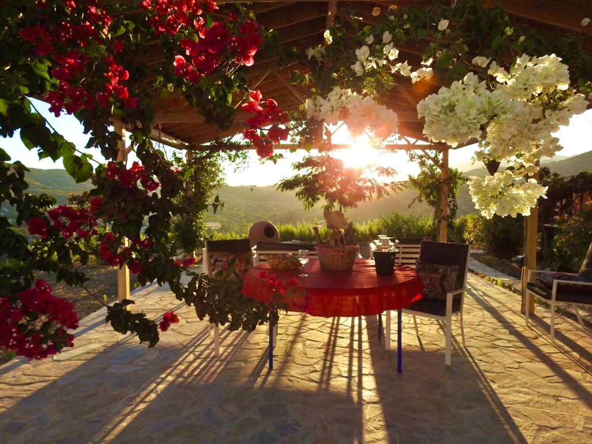 Exclusive Nirvana Yurts Glamping كاتو درياس المظهر الخارجي الصورة