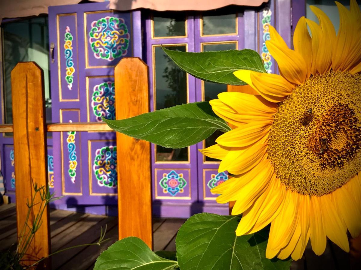 Exclusive Nirvana Yurts Glamping كاتو درياس المظهر الخارجي الصورة