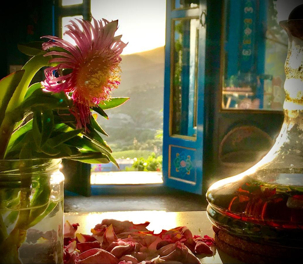 Exclusive Nirvana Yurts Glamping كاتو درياس المظهر الخارجي الصورة