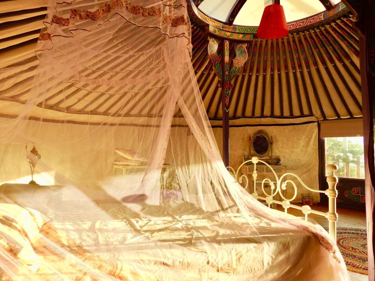Exclusive Nirvana Yurts Glamping كاتو درياس المظهر الخارجي الصورة